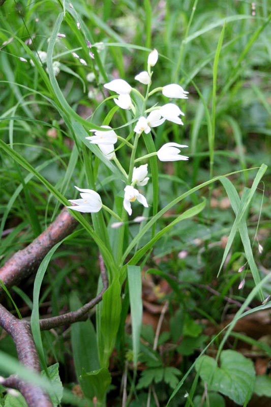 Killikus&reg; Fotographie